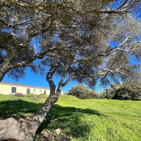 La Striscia Larga Bed & Breakfast San Pasquale Bagian luar foto