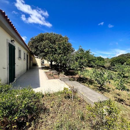 La Striscia Larga Bed & Breakfast San Pasquale Bagian luar foto
