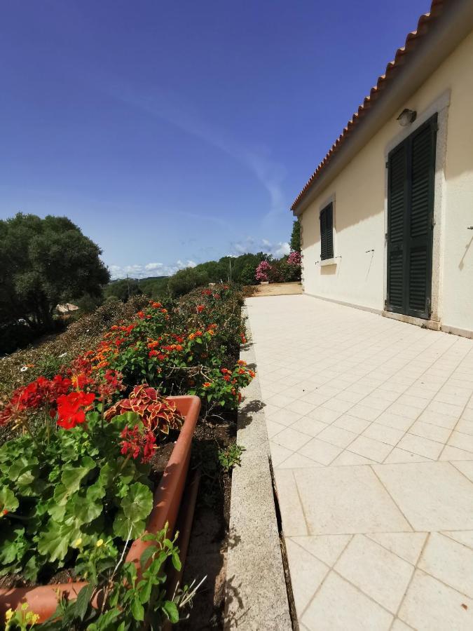 La Striscia Larga Bed & Breakfast San Pasquale Bagian luar foto