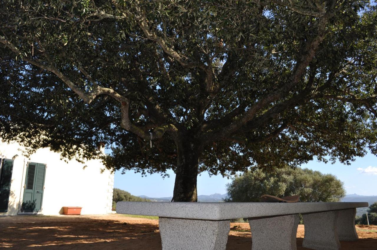 La Striscia Larga Bed & Breakfast San Pasquale Bagian luar foto