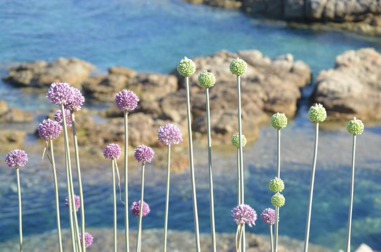 La Striscia Larga Bed & Breakfast San Pasquale Bagian luar foto
