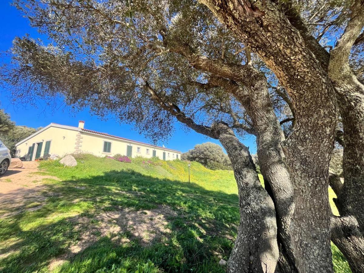 La Striscia Larga Bed & Breakfast San Pasquale Bagian luar foto