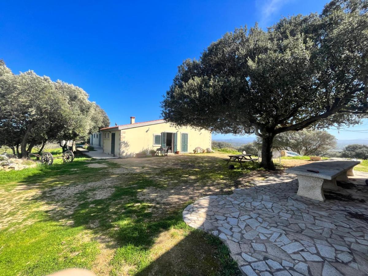 La Striscia Larga Bed & Breakfast San Pasquale Bagian luar foto