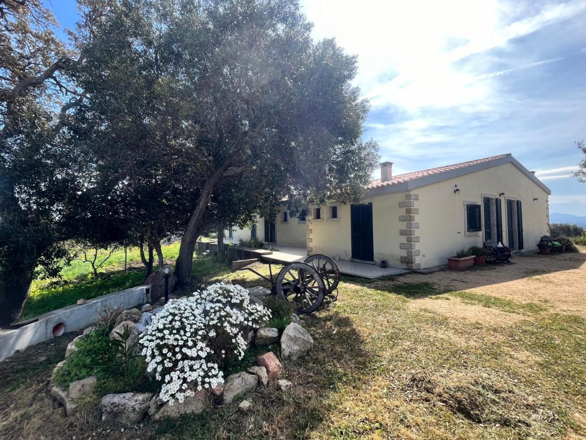 La Striscia Larga Bed & Breakfast San Pasquale Bagian luar foto