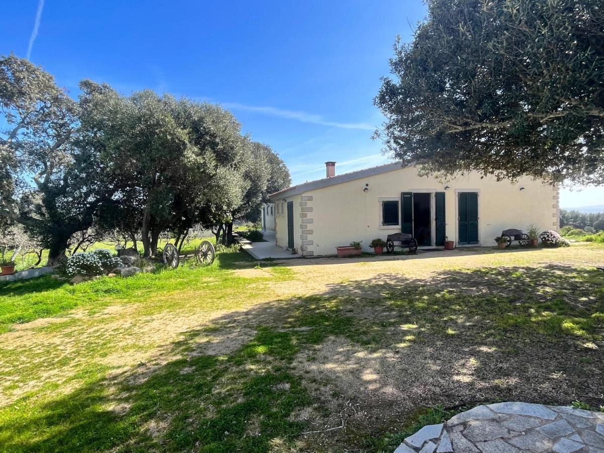 La Striscia Larga Bed & Breakfast San Pasquale Bagian luar foto