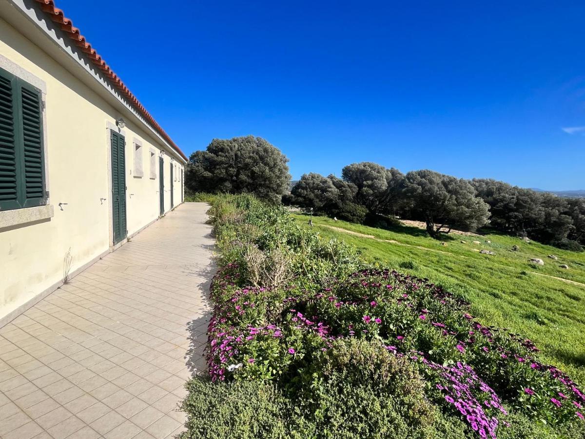 La Striscia Larga Bed & Breakfast San Pasquale Bagian luar foto