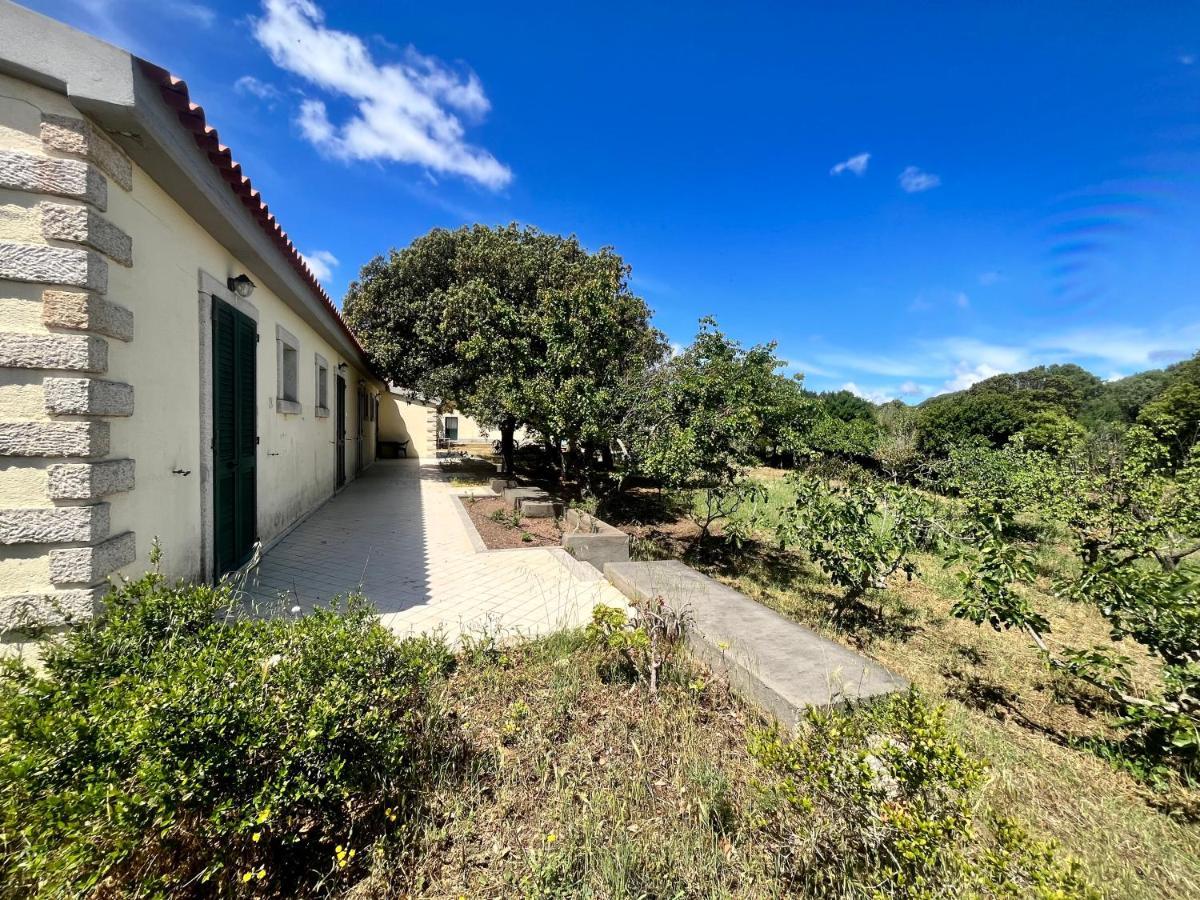 La Striscia Larga Bed & Breakfast San Pasquale Bagian luar foto