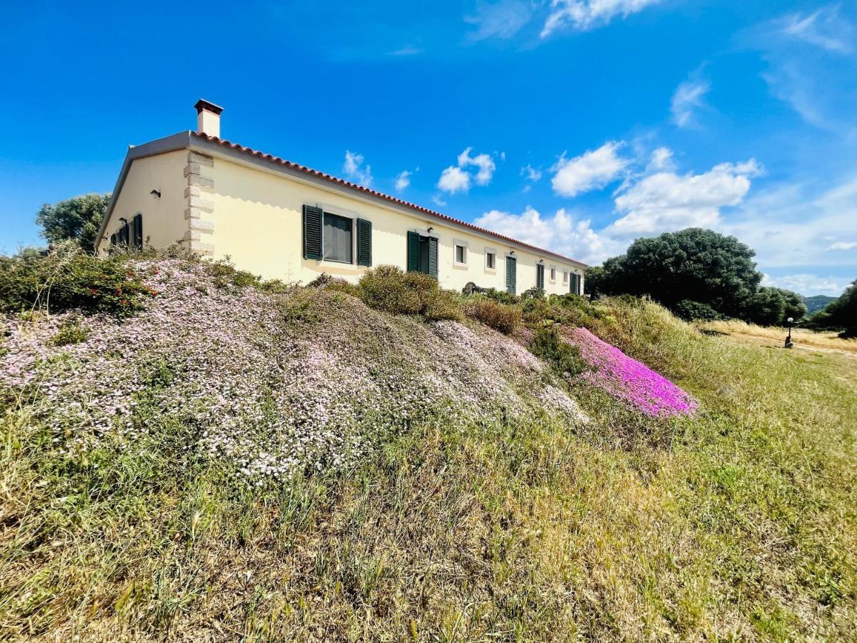 La Striscia Larga Bed & Breakfast San Pasquale Bagian luar foto