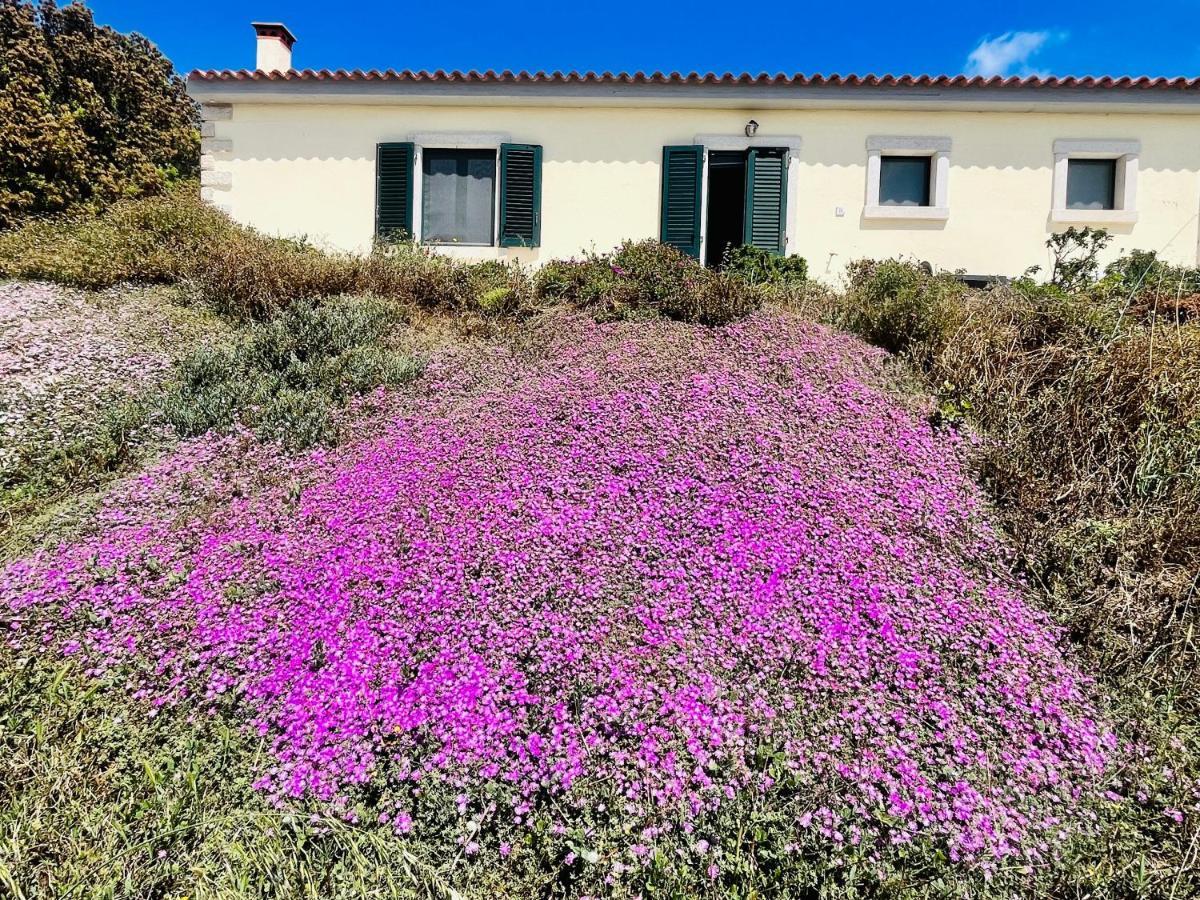 La Striscia Larga Bed & Breakfast San Pasquale Bagian luar foto