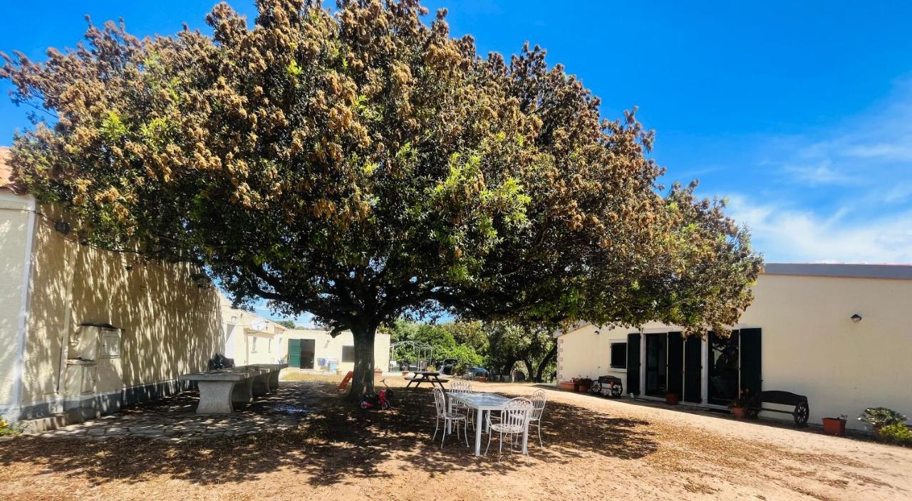 La Striscia Larga Bed & Breakfast San Pasquale Bagian luar foto
